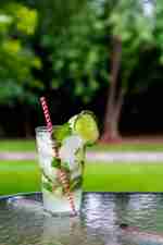 Cucumber Mint